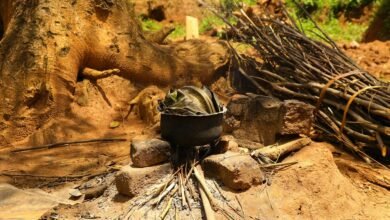 regional mobile usage trends