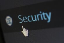 fraud prevention contact numbers