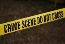 hotline for fraud investigations