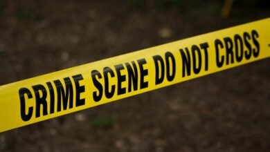 hotline for fraud investigations