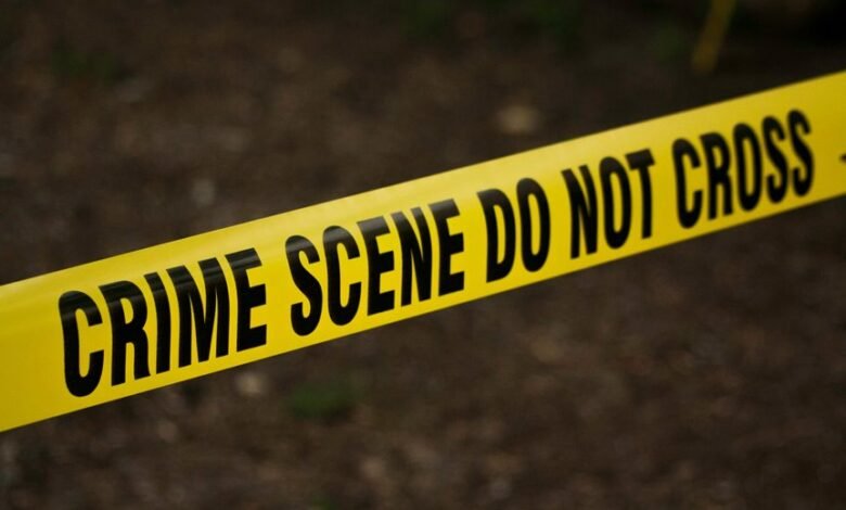 hotline for fraud investigations
